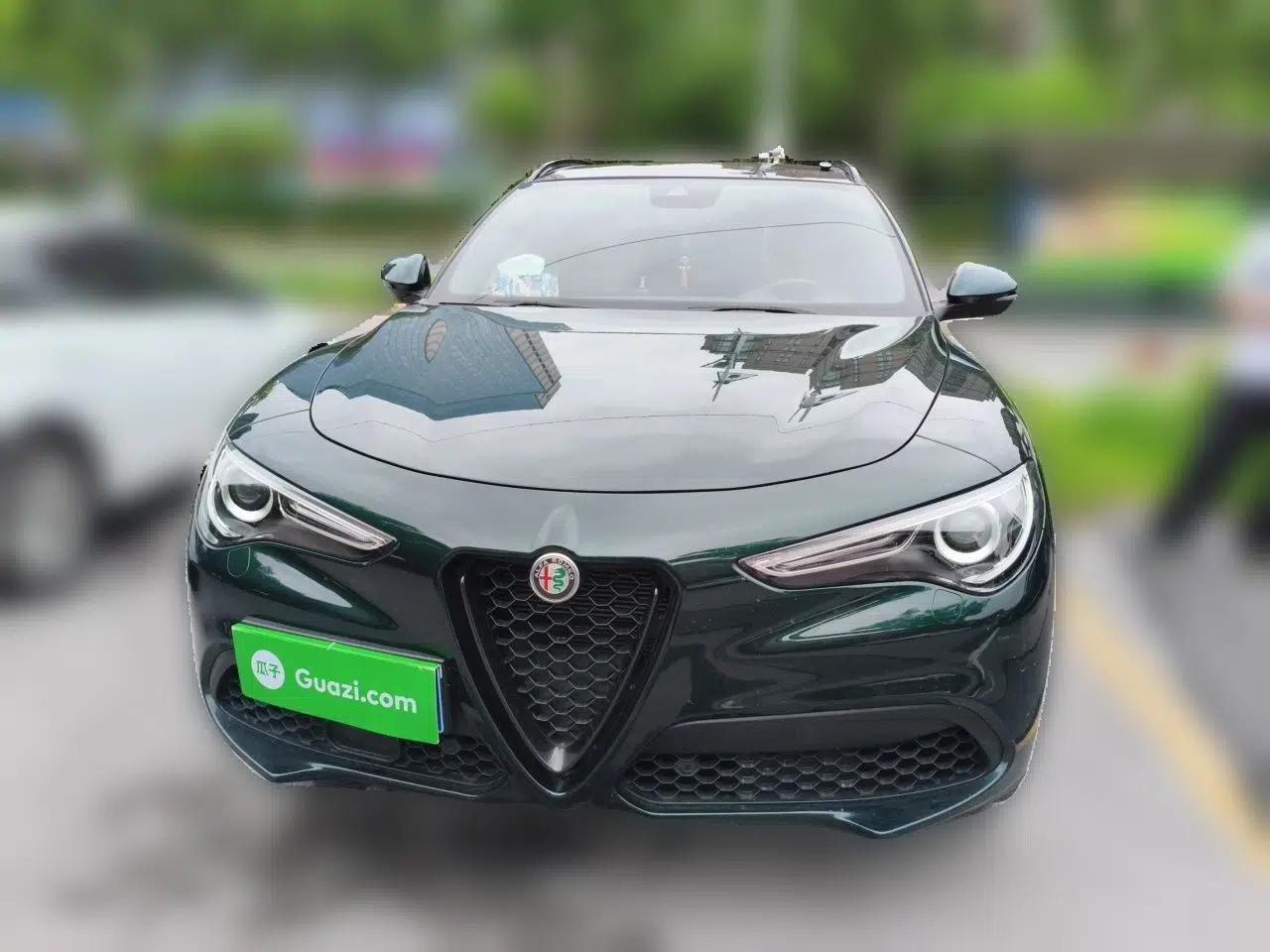 Alfa Romeo Stelvio 2020 2.0T 280HP Luxury Edition — миниатюра 2