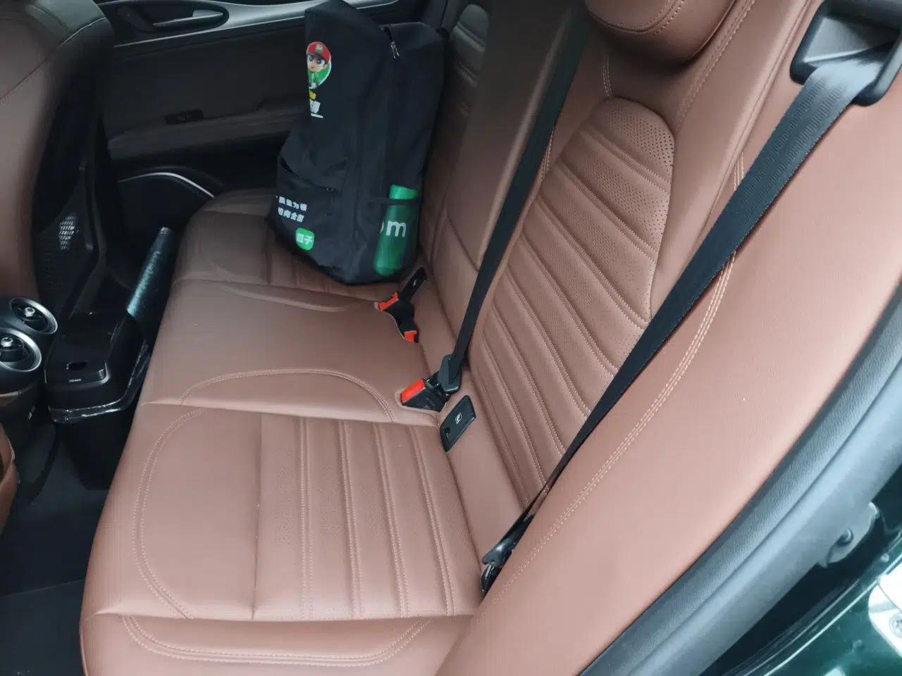 Alfa Romeo Stelvio 2020 2.0T 280HP Luxury Edition — миниатюра 17