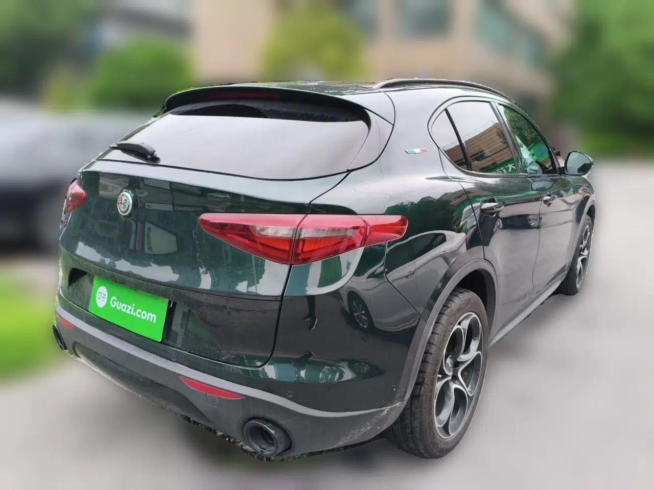 Alfa Romeo Stelvio 2020 2.0T 280HP Luxury Edition — миниатюра 6
