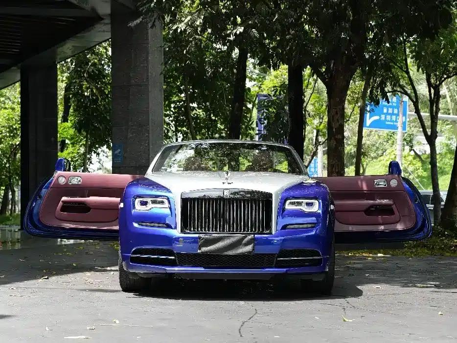 2018 Dawn 6.6T Standard Edition — миниатюра 2