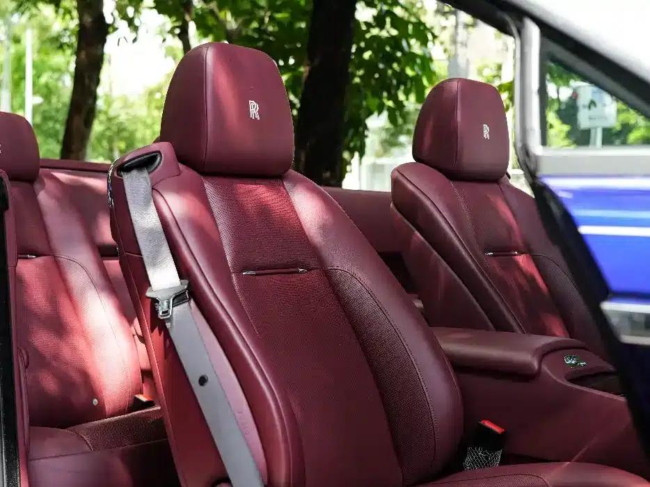 2018 Dawn 6.6T Standard Edition — миниатюра 14