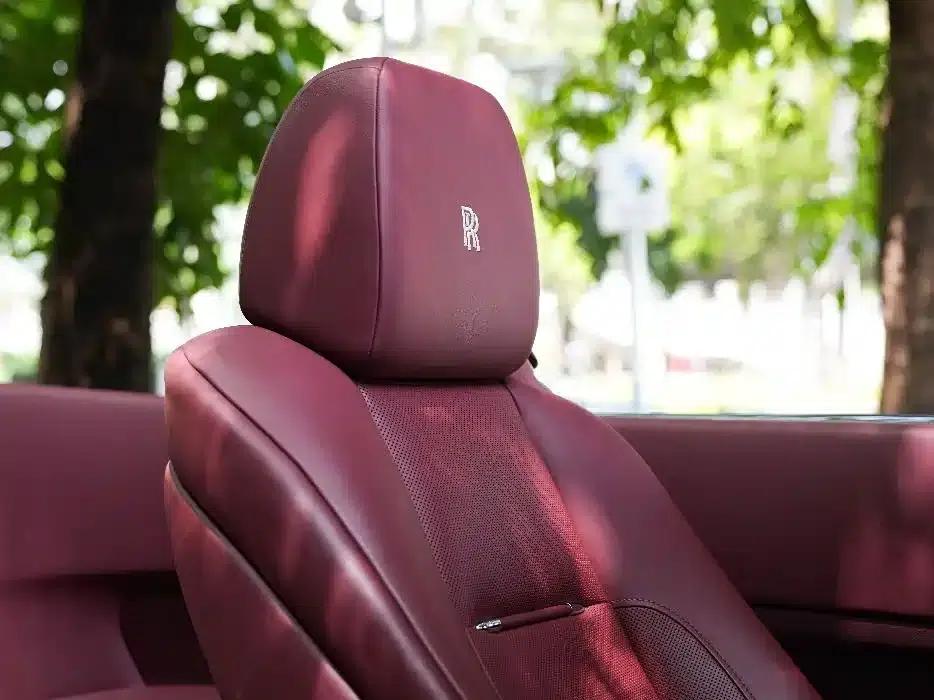 2018 Dawn 6.6T Standard Edition — миниатюра 15