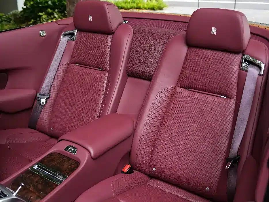2018 Dawn 6.6T Standard Edition — миниатюра 20