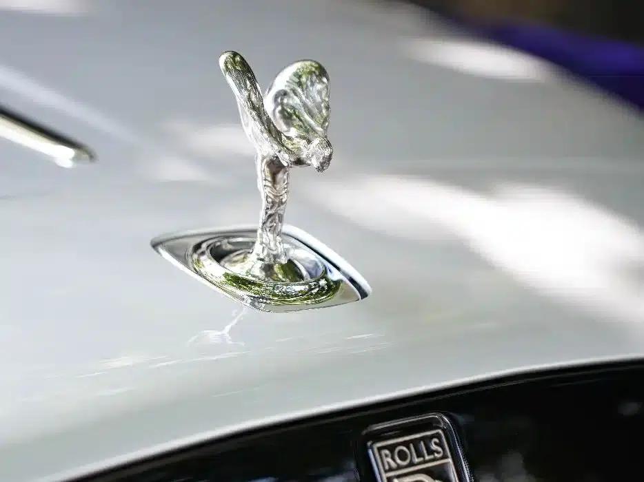 2018 Dawn 6.6T Standard Edition — миниатюра 5