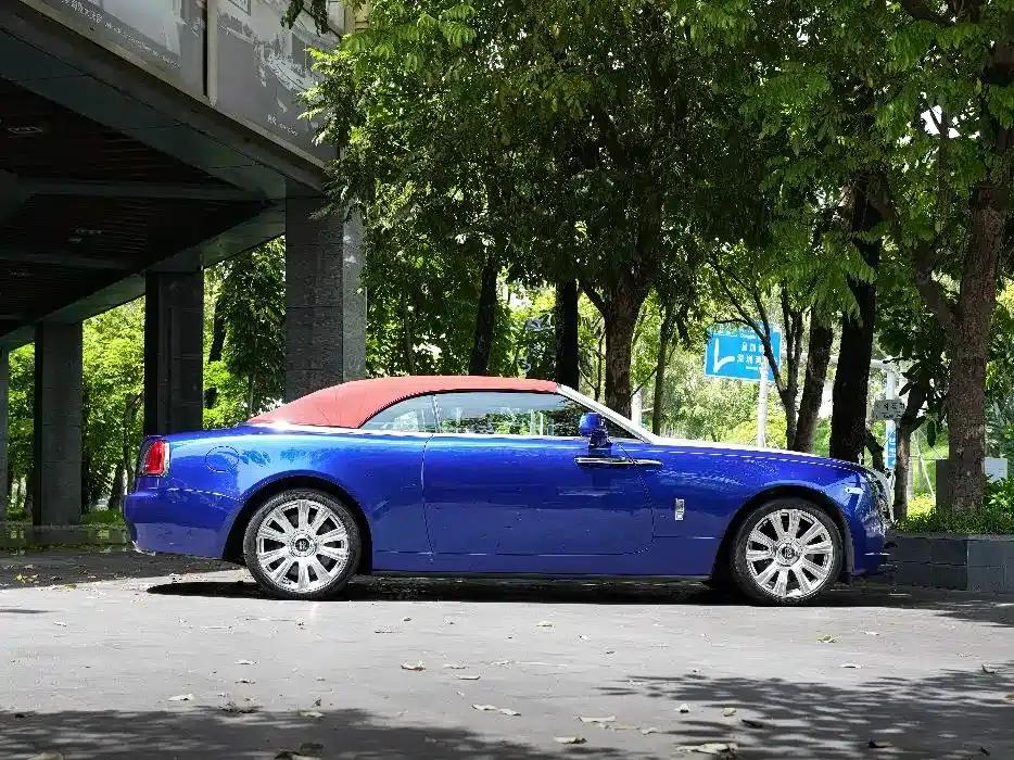 2018 Dawn 6.6T Standard Edition — миниатюра 6