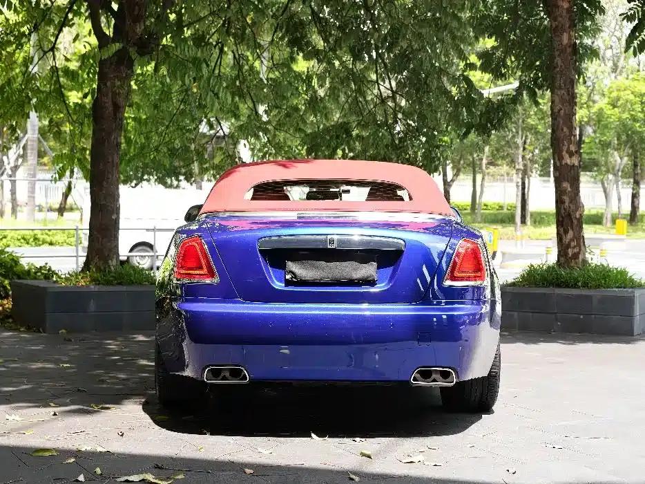2018 Dawn 6.6T Standard Edition — миниатюра 7
