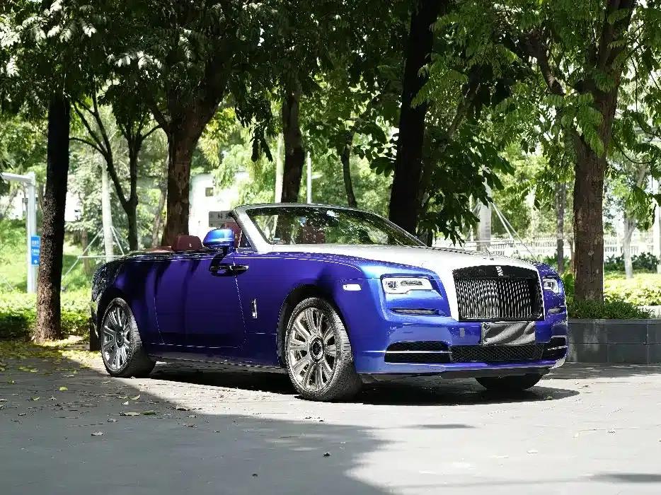 2018 Dawn 6.6T Standard Edition — миниатюра 8