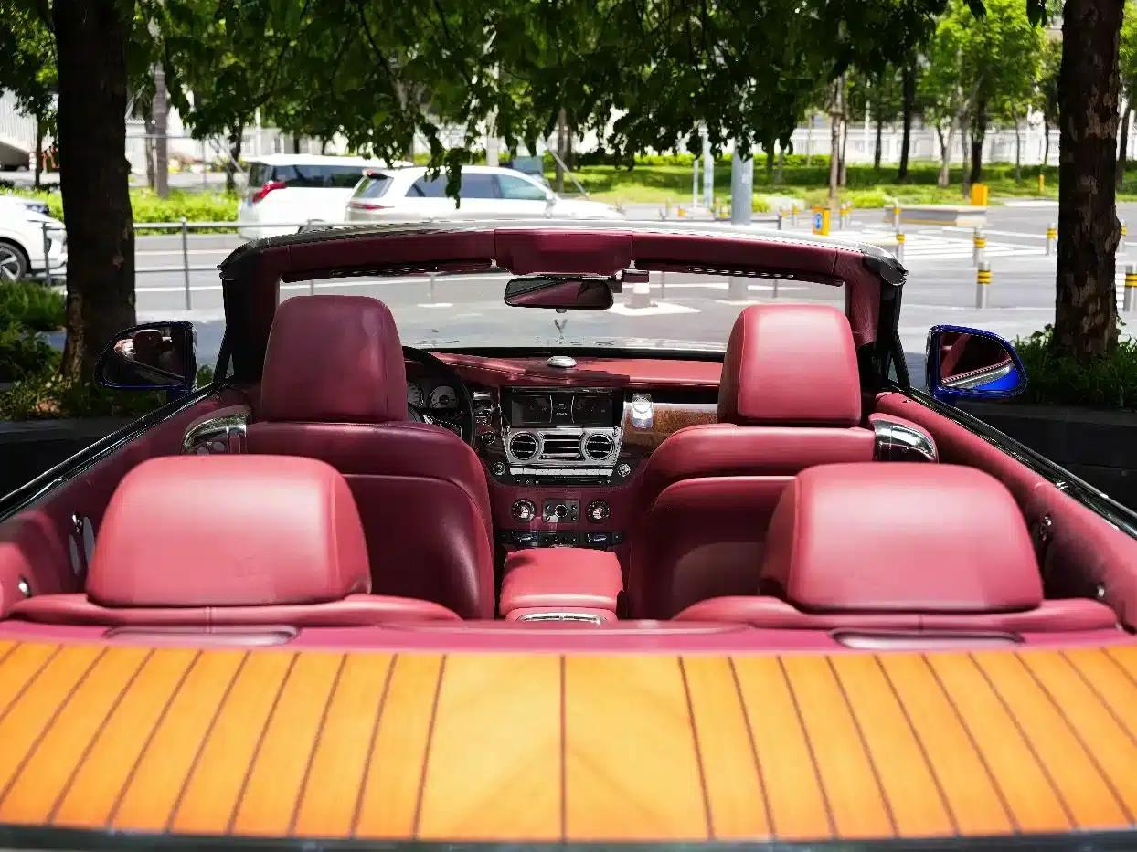 2018 Dawn 6.6T Standard Edition — миниатюра 10