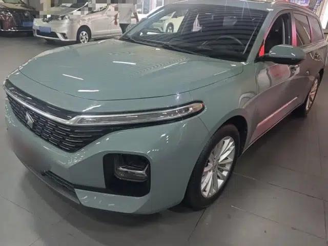 Baojun Valli 2021 1.5T Dali Sky CVT Premium Edition