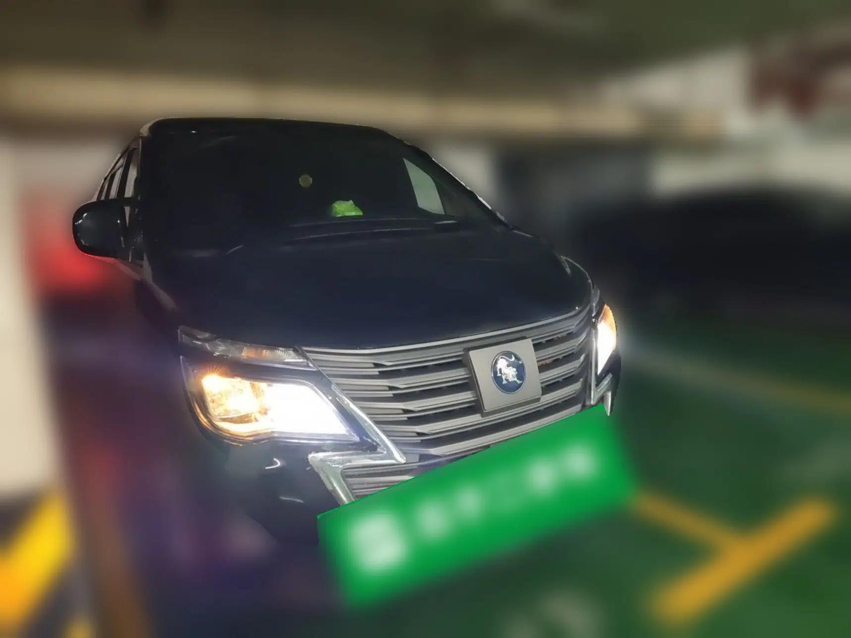 FORTHING Lingzhi M5 2024 460 km Range Passenger Version Standard Edition 7 Seats — миниатюра 3