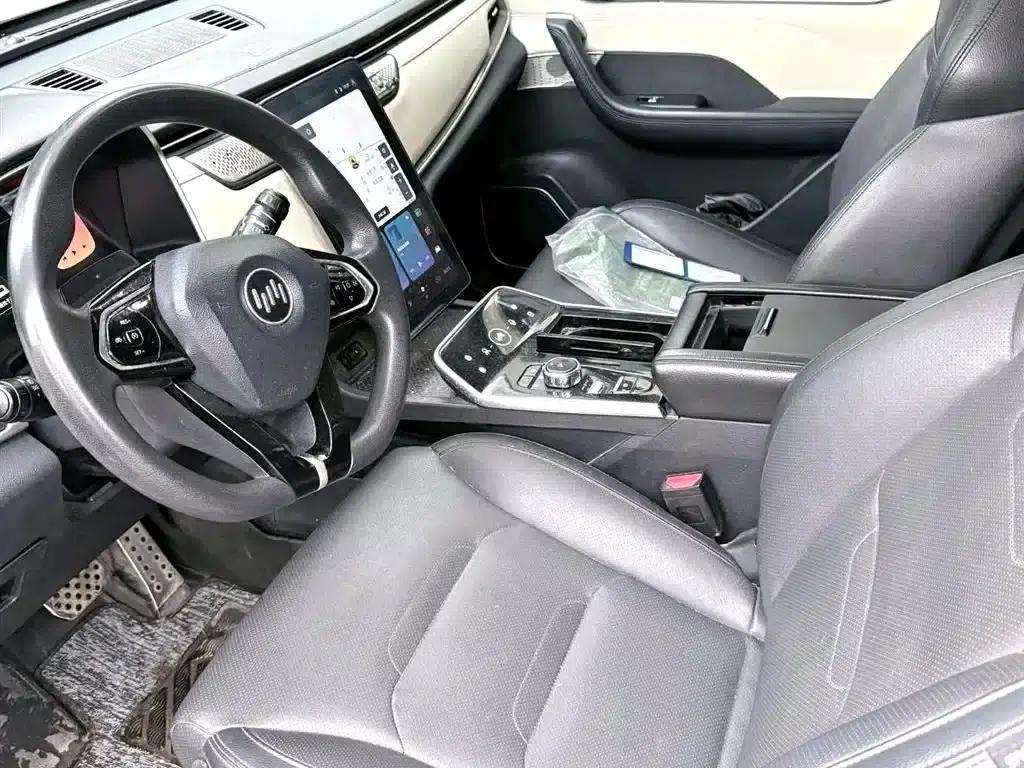 Weltmeister EX5 2019 EX5 Lite Explorer Edition 400 — миниатюра 2