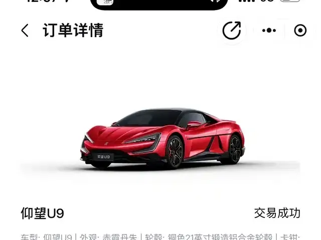 Looking up at the U9 2024 Standard Edition