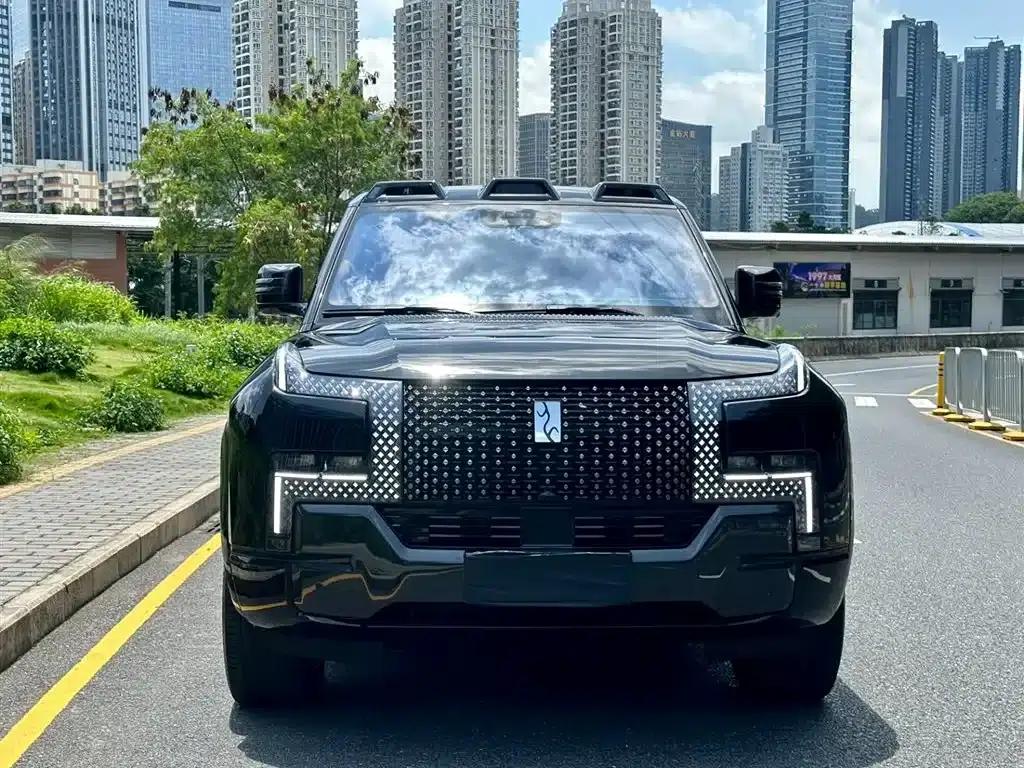 Looking up at the U8 L 2025 Dingshi Edition — миниатюра 2