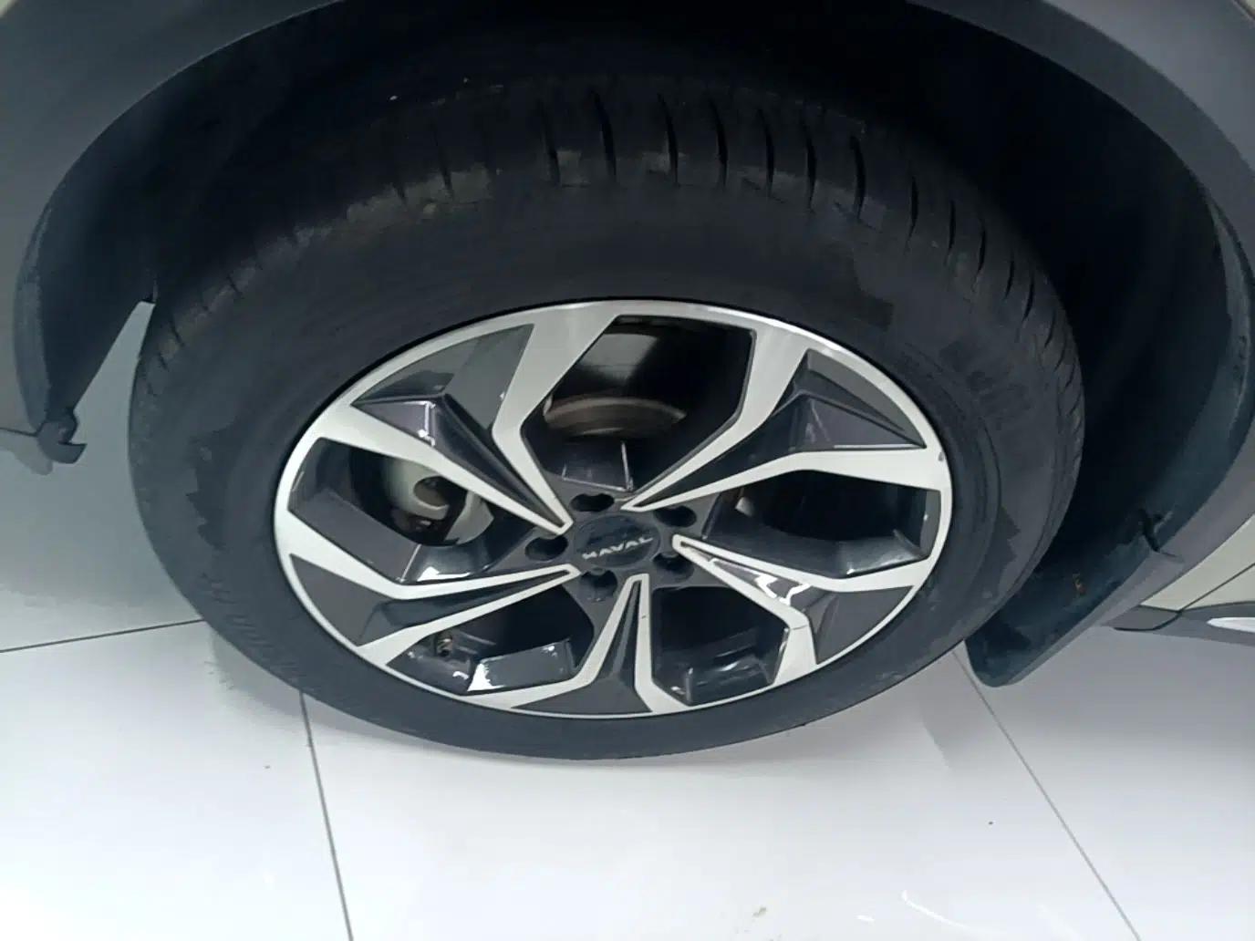 Haval Fierce Dragon Max 2023 1.5L Hi4 105 Four-Wheel Drive Smart Flagship Edition — миниатюра 10