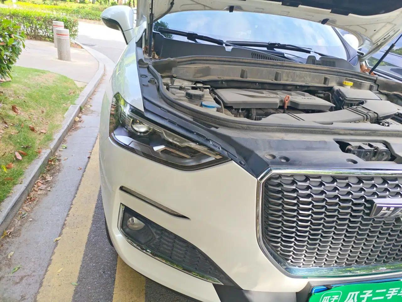 Haval F5 2019 National Trend Edition 1.5T i-Type China VI Standard — миниатюра 7
