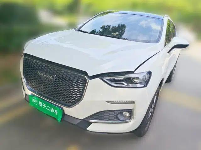 Haval F5 2019 National Trend Edition 1.5T i-Type China VI Standard