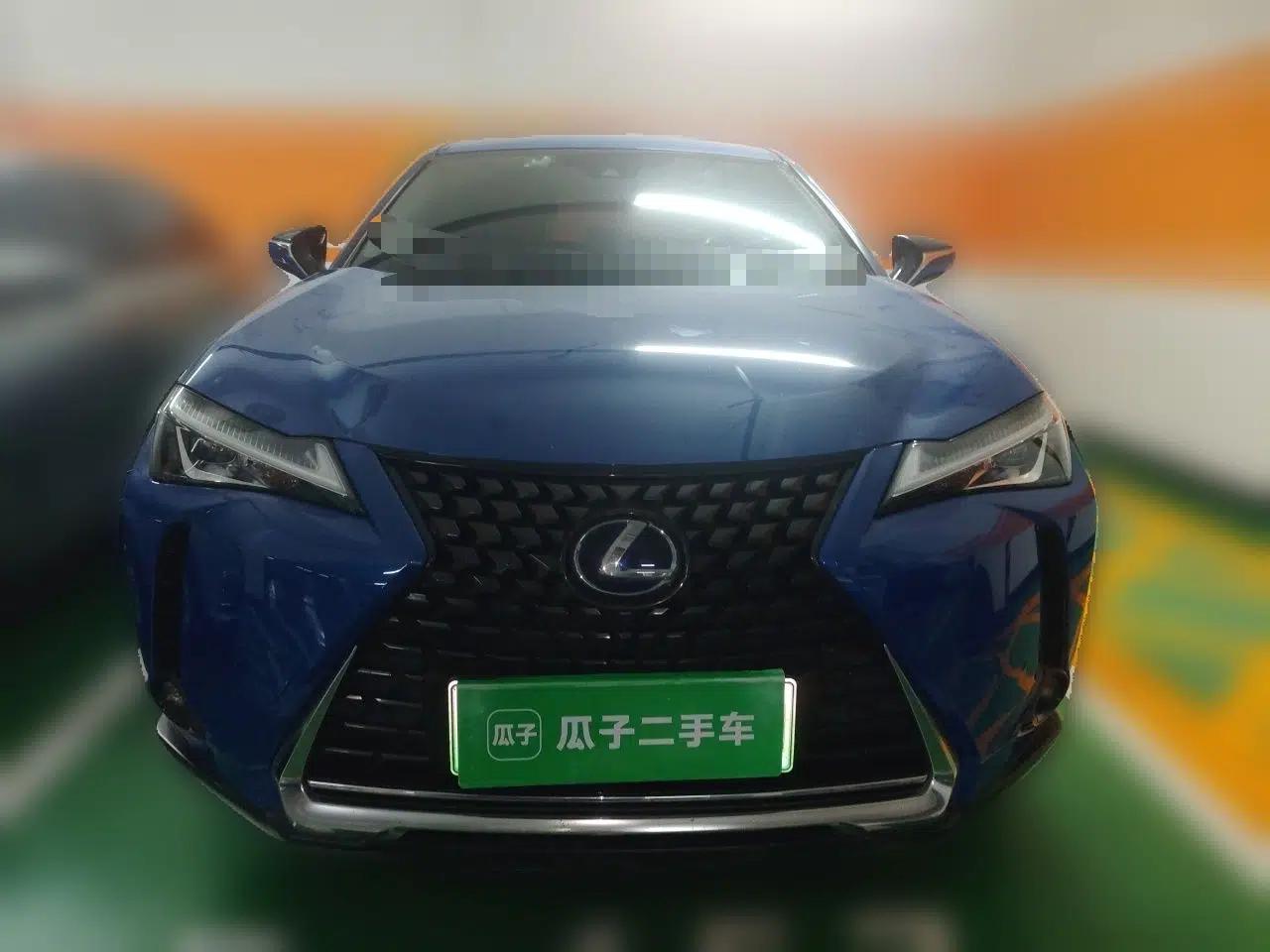 Lexus UX New Energy 2020 300e Pure·Joy Edition — миниатюра 2