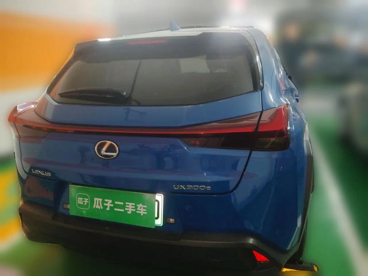 Lexus UX New Energy 2020 300e Pure·Joy Edition — миниатюра 5