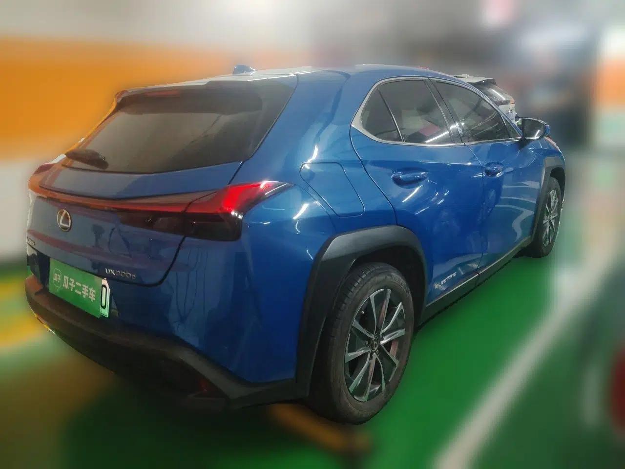Lexus UX New Energy 2020 300e Pure·Joy Edition — миниатюра 6