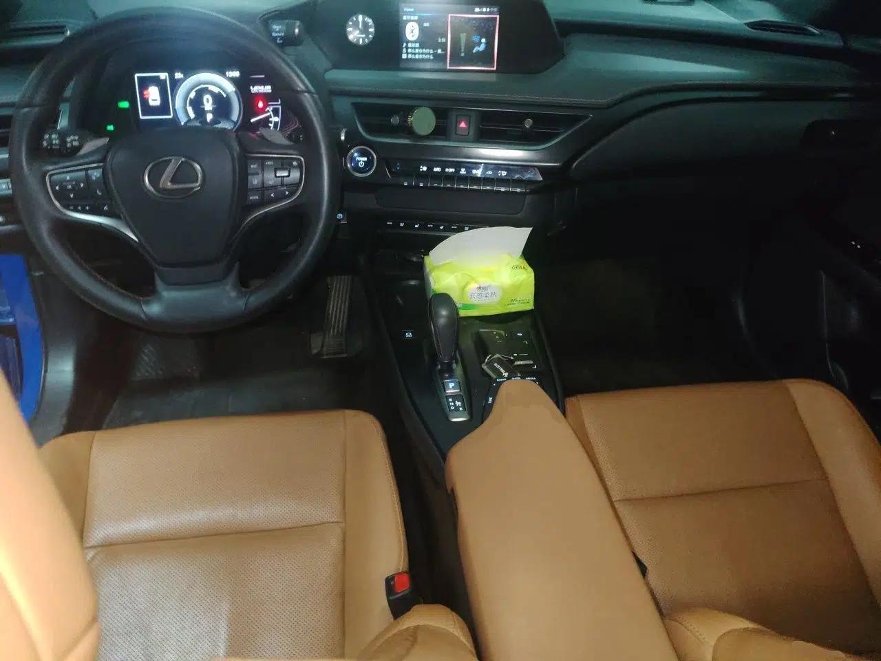 Lexus UX New Energy 2020 300e Pure·Joy Edition — миниатюра 9