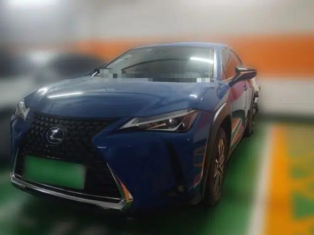 Lexus UX New Energy 2020 300e Pure·Joy Edition