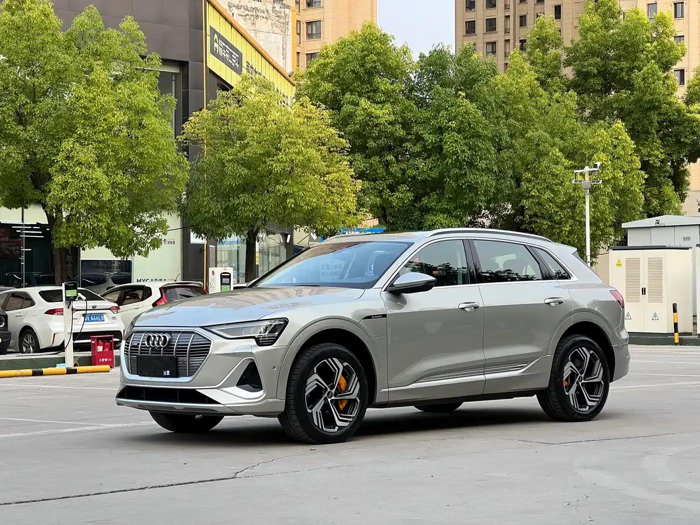 Audi e-tron 2021 50 quattro Premium Edition — миниатюра 1