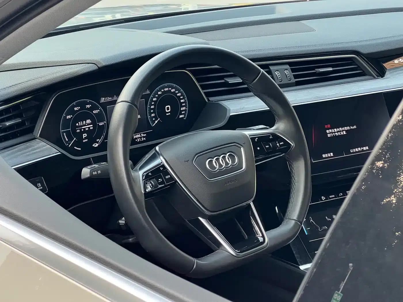 Audi e-tron 2021 50 quattro Premium Edition — миниатюра 13