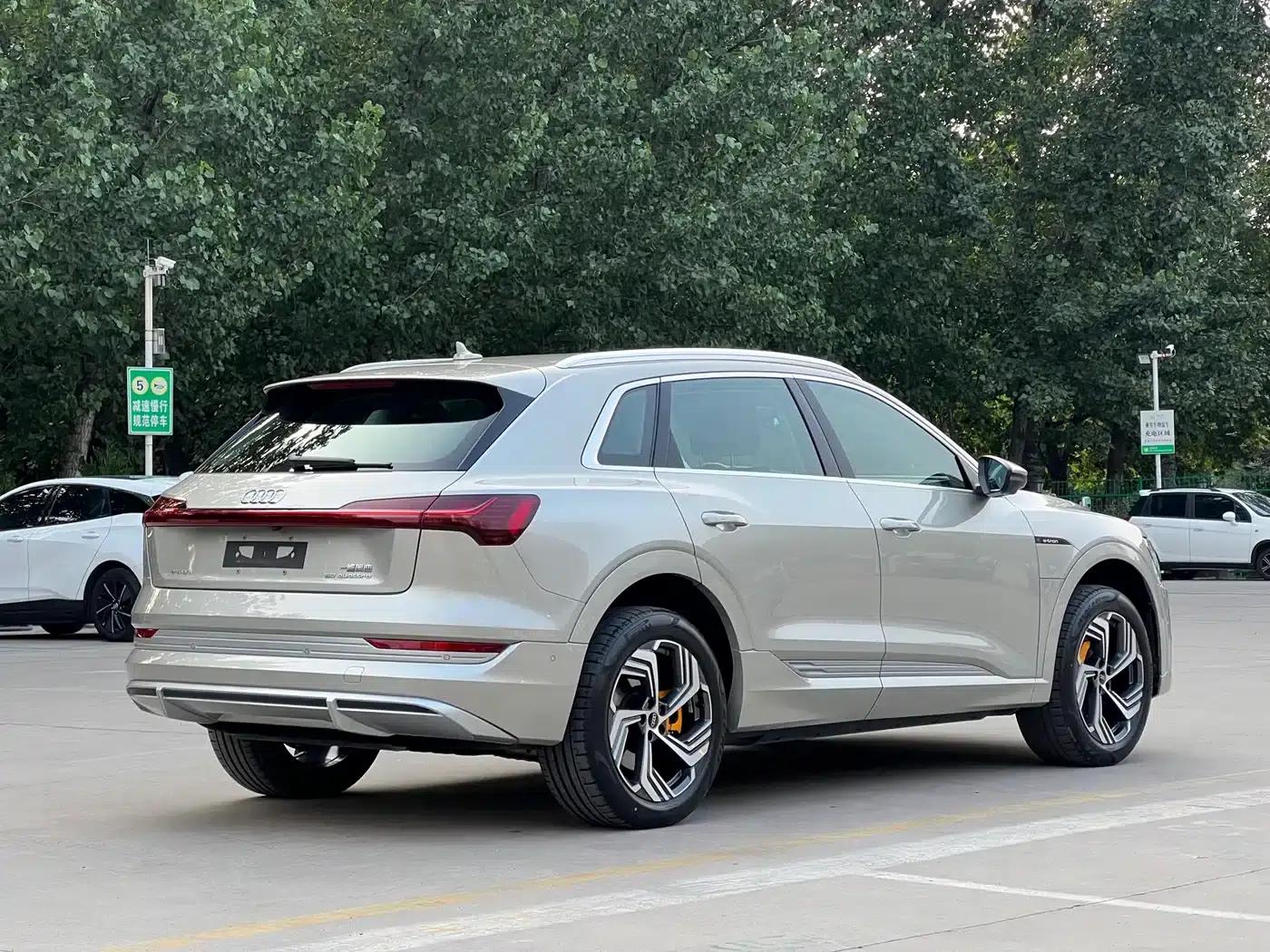 Audi e-tron 2021 50 quattro Premium Edition — миниатюра 5