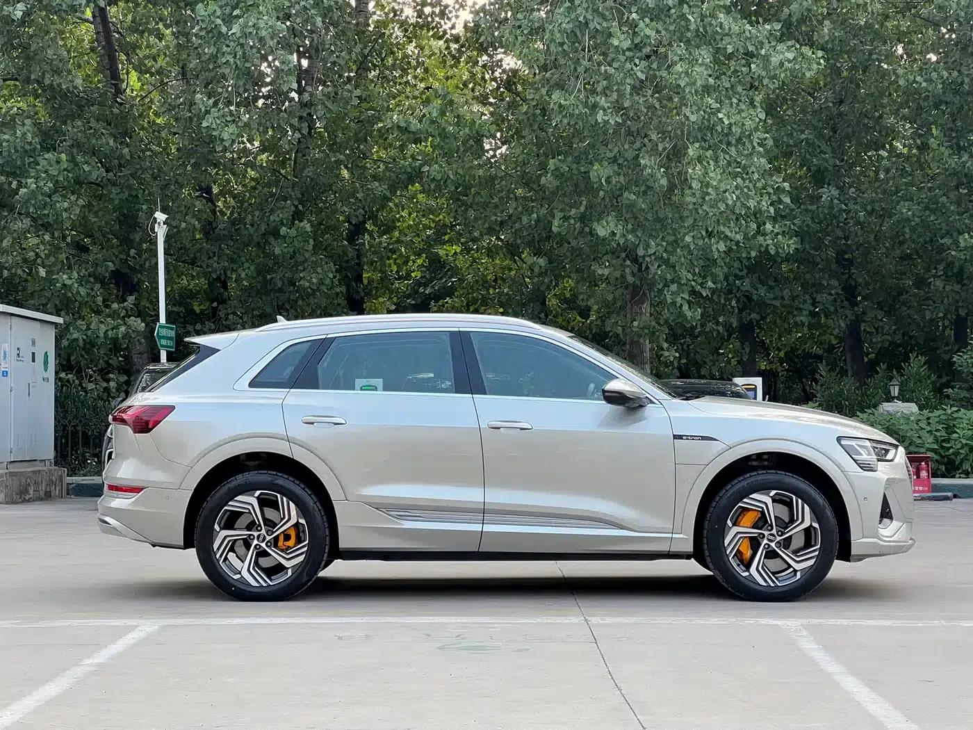 Audi e-tron 2021 50 quattro Premium Edition — миниатюра 6