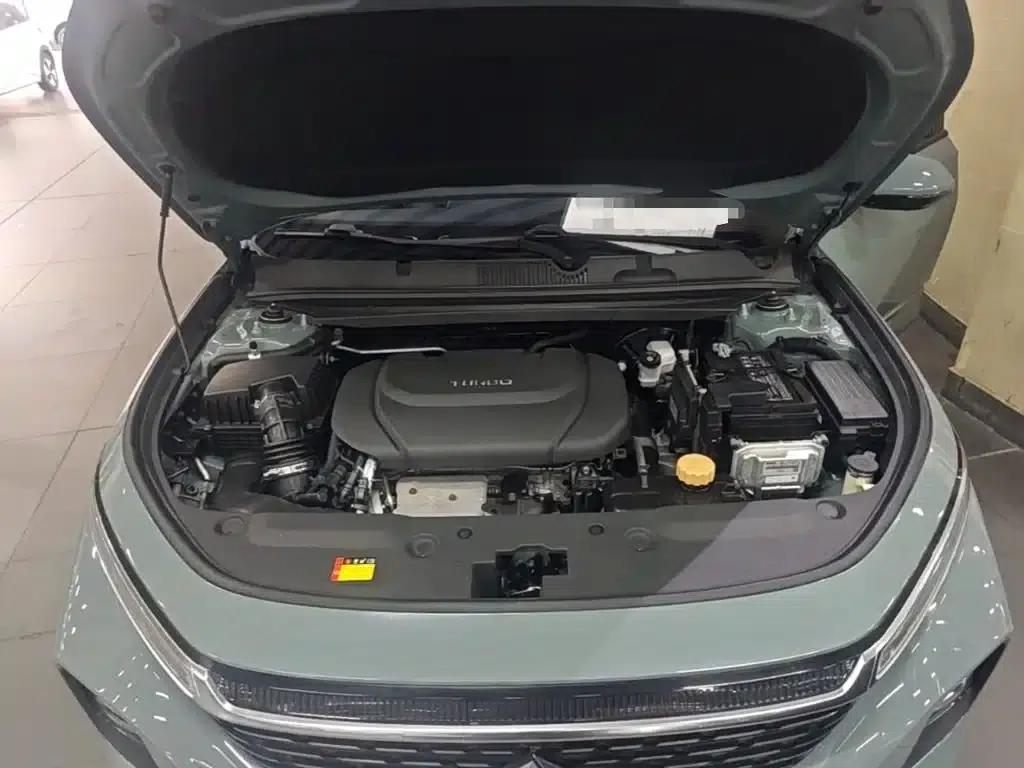 Baojun Valli 2021 1.5T Dali Sky CVT Premium Edition — миниатюра 20