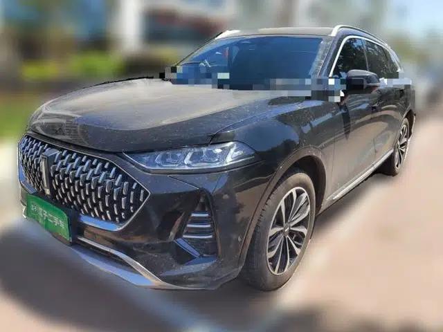 Wey Mocha 2021 2.0T Two-Wheel-Drive Premium Edition