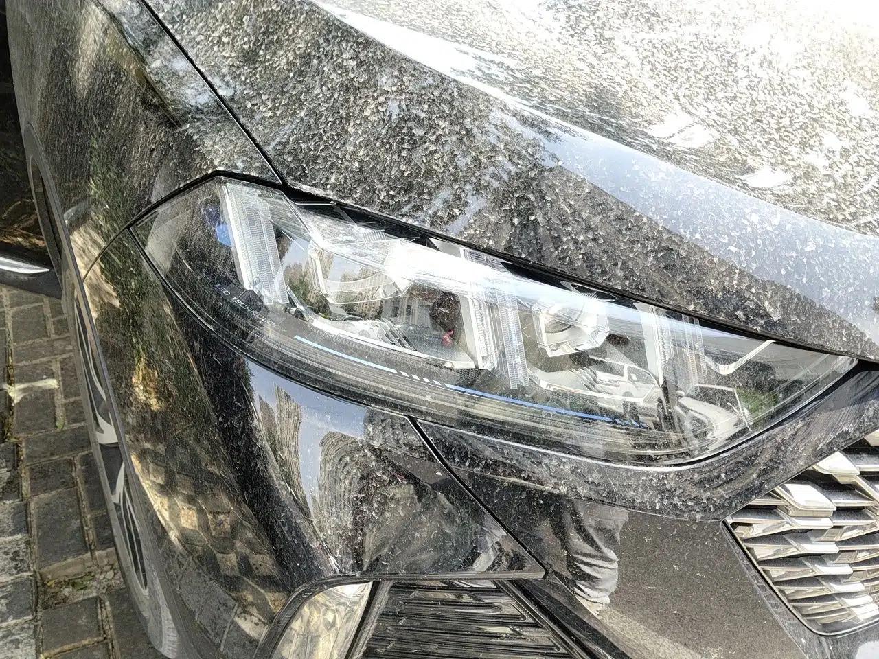 Wey Latte DHT-PHEV 2022 1.5T Two-Wheel-Drive Extra-Large Version — миниатюра 7