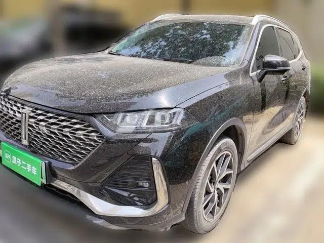 Wey Latte DHT-PHEV 2022 1.5T Two-Wheel-Drive Extra-Large Version