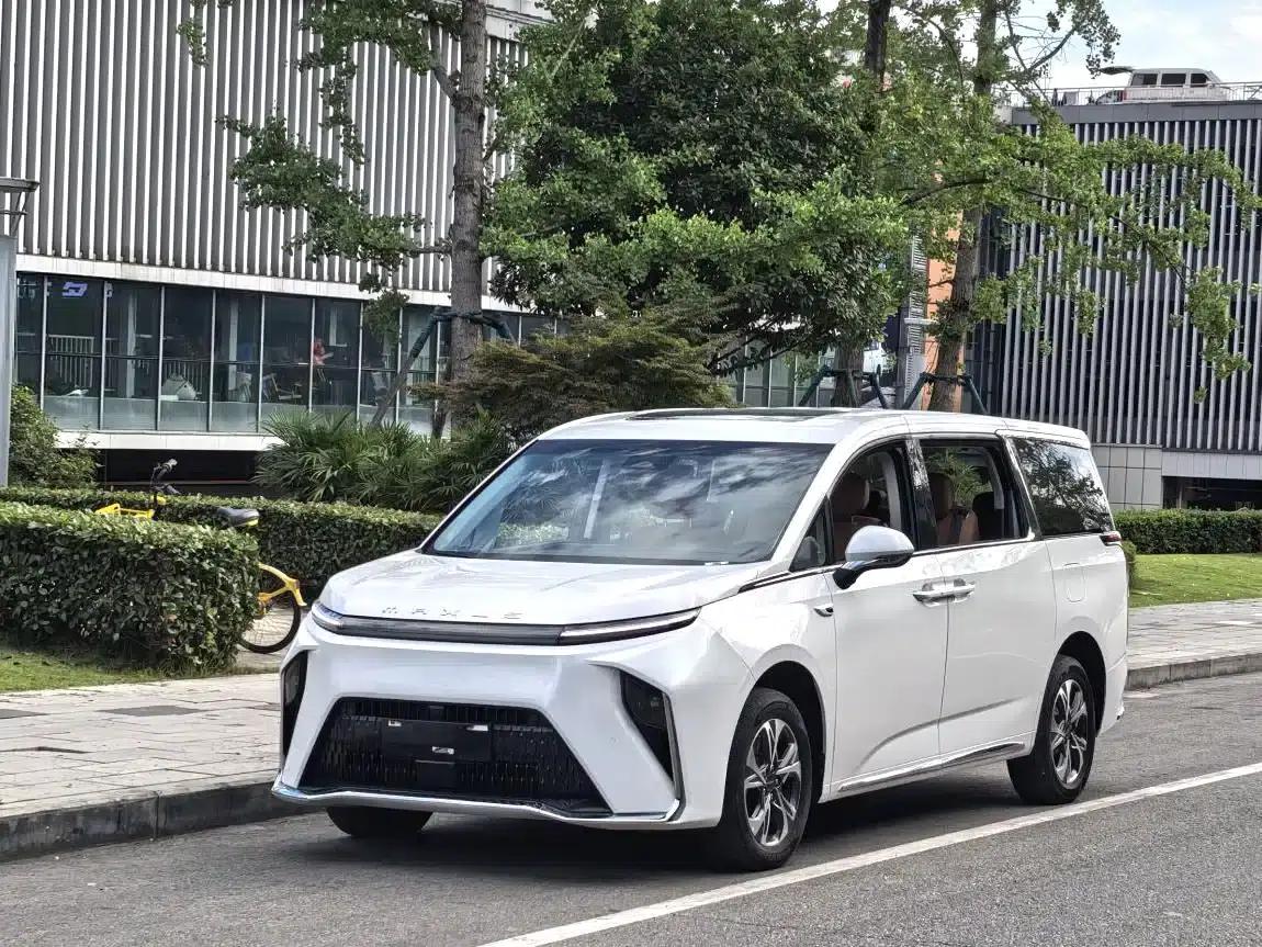 Everyone 9 2025 Super Hybrid Long Range Grassland Edition 7-Seater — миниатюра 1