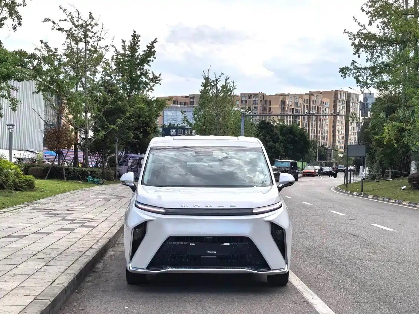 Everyone 9 2025 Super Hybrid Long Range Grassland Edition 7-Seater — миниатюра 2