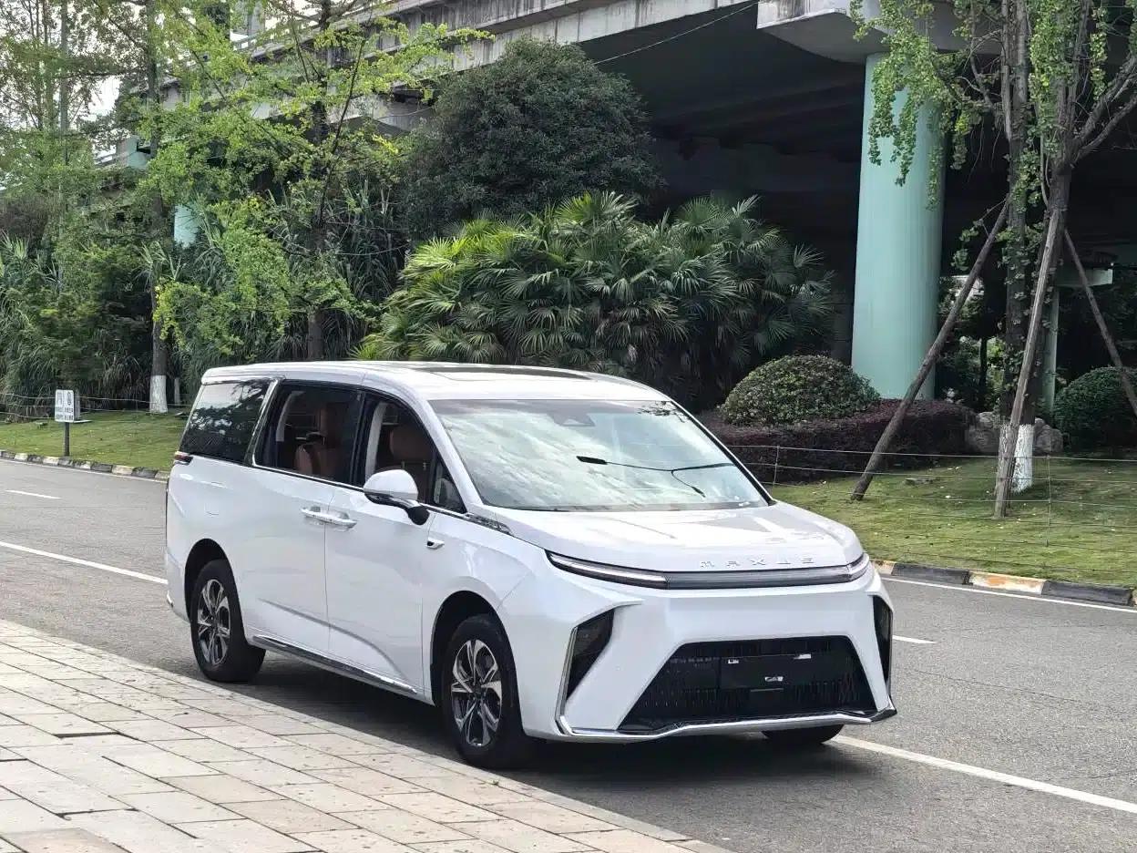 Everyone 9 2025 Super Hybrid Long Range Grassland Edition 7-Seater — миниатюра 8