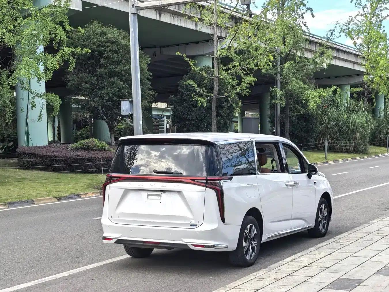 Everyone 9 2025 Super Hybrid Long Range Grassland Edition 7-Seater — миниатюра 9