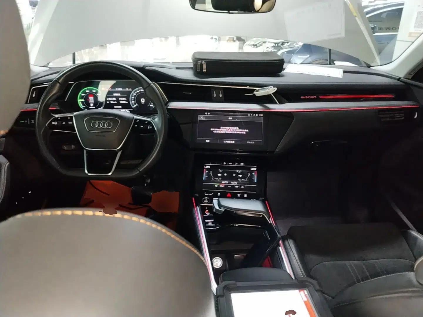 Audi e-tron 2021 50 quattro Prestige Edition — миниатюра 12