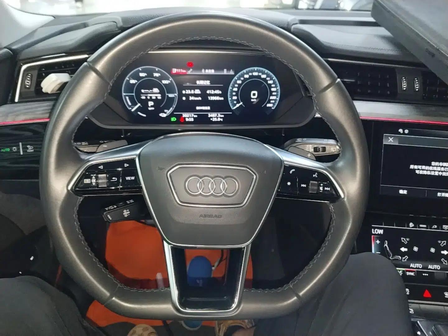 Audi e-tron 2021 50 quattro Prestige Edition — миниатюра 13