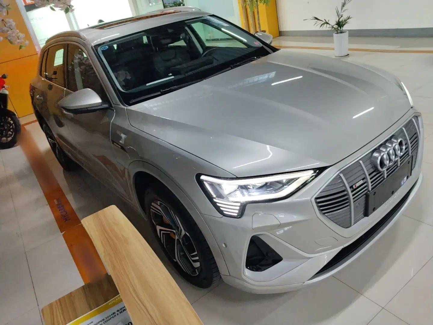 Audi e-tron 2021 50 quattro Prestige Edition — миниатюра 3