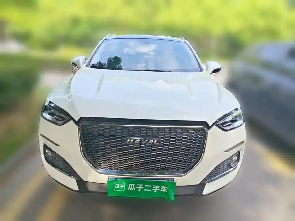 Haval F5 2019 National Trend Edition 1.5T i-type National VI — миниатюра 24