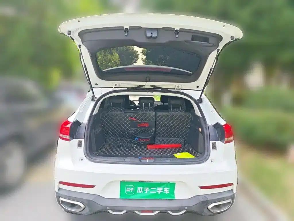 Haval F5 2019 National Trend Edition 1.5T i-type National VI — миниатюра 10