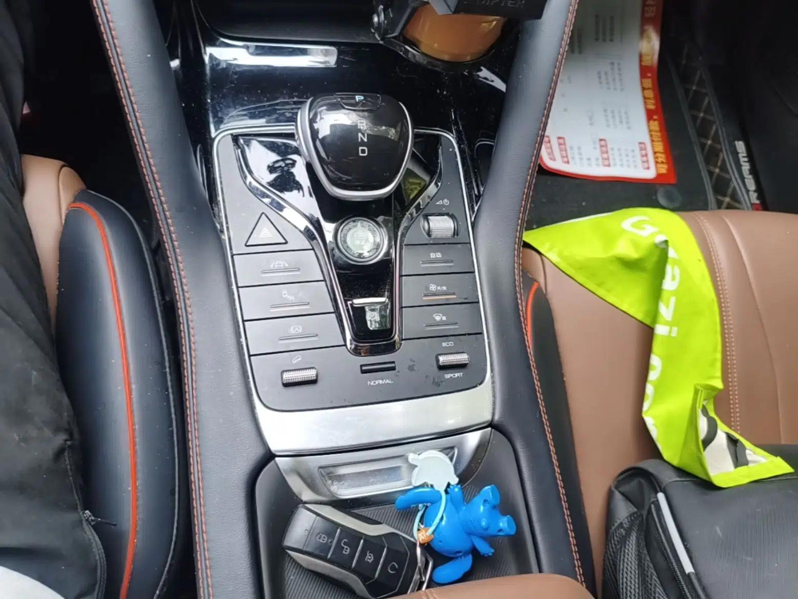 BYD Song PLUS 2020 1.5T Automatic Flagship Edition — миниатюра 16