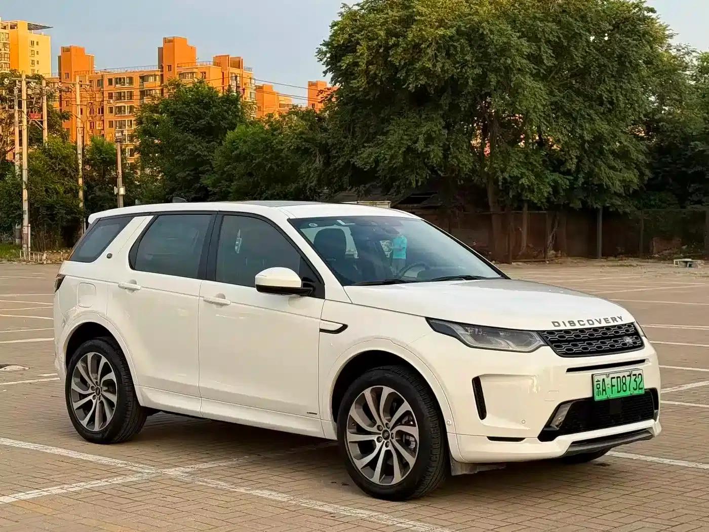 Discover Sporty New Energy 2021 P300e Performance Technology Edition — миниатюра 3