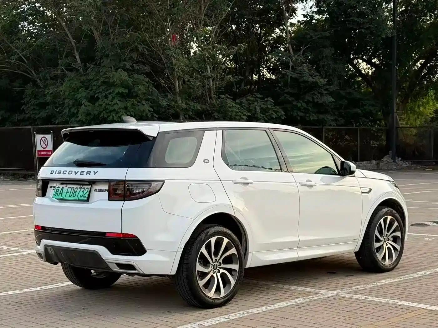 Discover Sporty New Energy 2021 P300e Performance Technology Edition — миниатюра 4