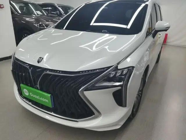 FORTHING Yacht 2023 Model 1.5T DCT Chasing-the-Waves Version