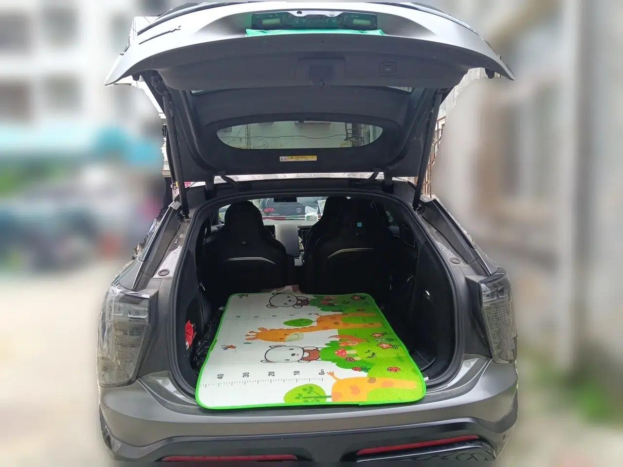 HiPhi X 2021 Founder Edition 6-seater — миниатюра 19