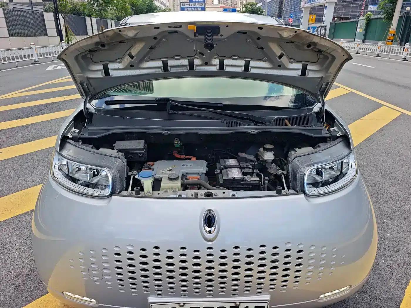 ORA White Cat 2020 Model 305km Luxury — миниатюра 17