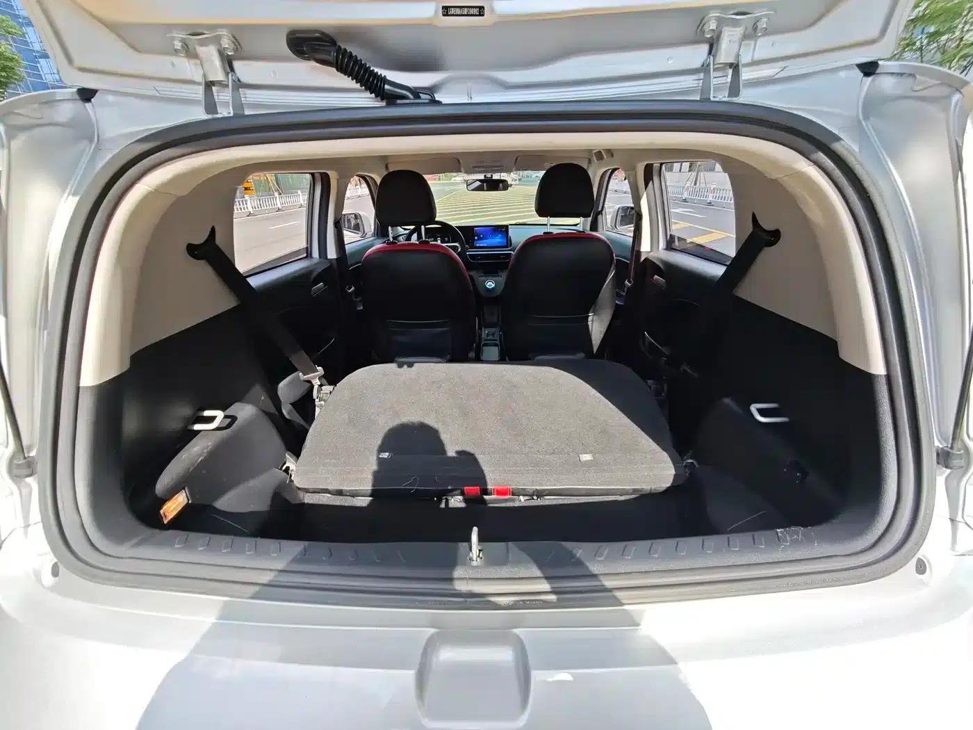 ORA White Cat 2020 Model 305km Luxury — миниатюра 21
