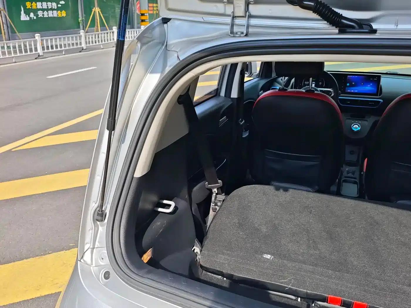ORA White Cat 2020 Model 305km Luxury — миниатюра 22